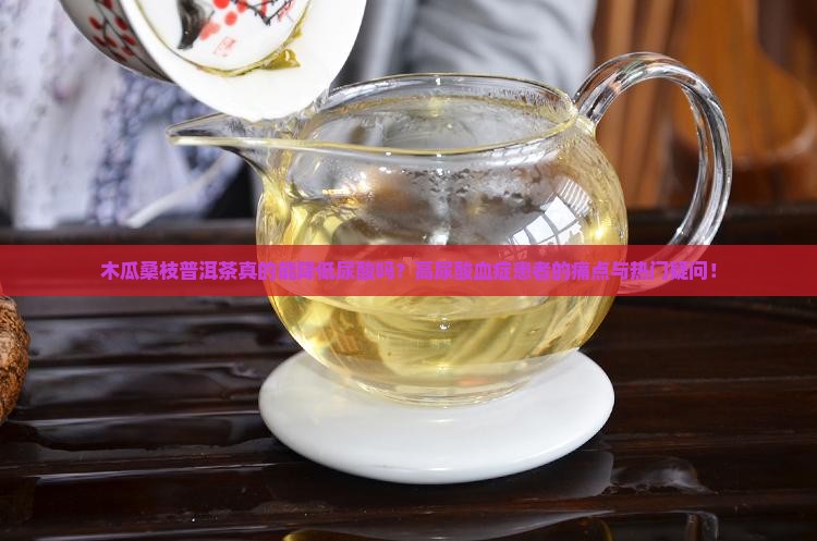 木瓜桑枝普洱茶真的能降低尿酸吗？高尿酸血症患者的痛点与热门疑问！