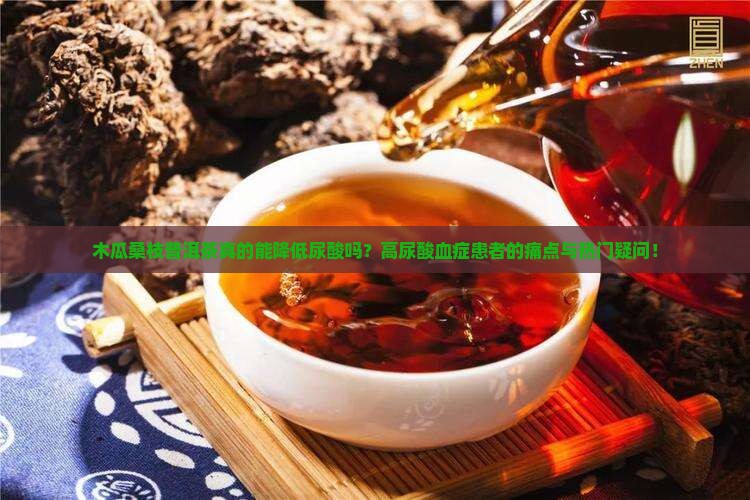 木瓜桑枝普洱茶真的能降低尿酸吗？高尿酸血症患者的痛点与热门疑问！