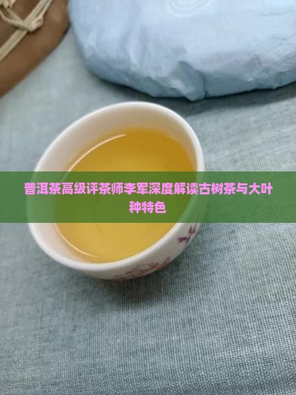 普洱茶高级评茶师李军深度解读古树茶与大叶种特色