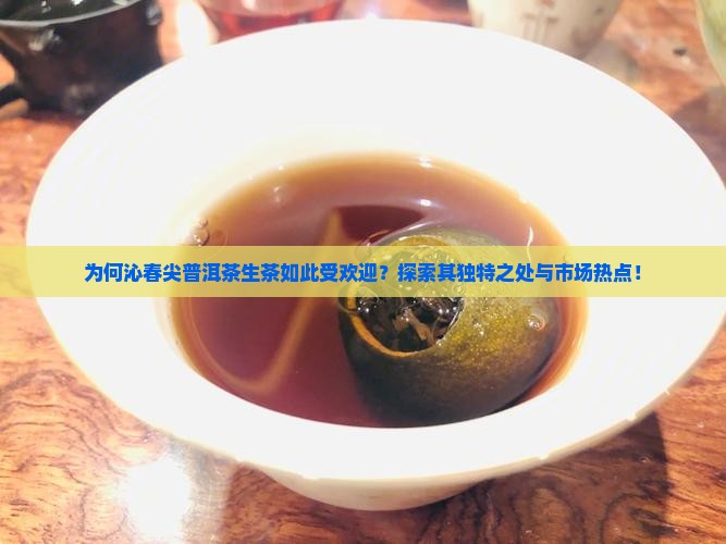 为何沁春尖普洱茶生茶如此受欢迎？探索其独特之处与市场热点！