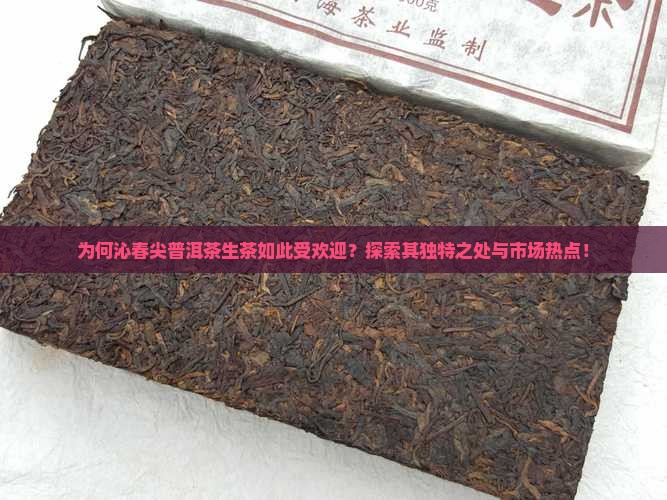 为何沁春尖普洱茶生茶如此受欢迎？探索其独特之处与市场热点！