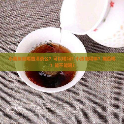 小朋友能喝普洱茶么？可以喝吗？小孩能喝嘛？能否喝？能不能喝？