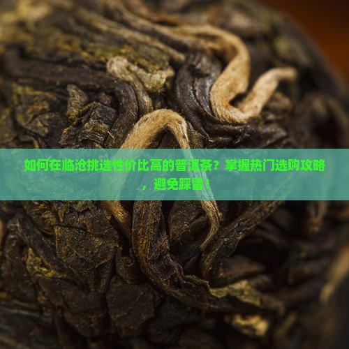 如何在临沧挑选性价比高的普洱茶？掌握热门选购攻略，避免踩雷！