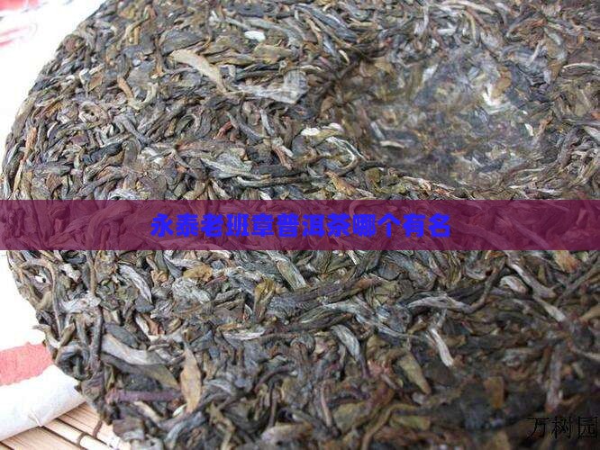 永泰老班章普洱茶哪个有名