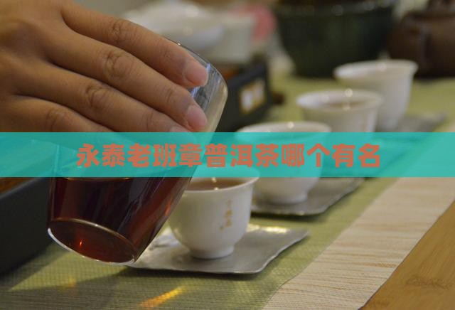 永泰老班章普洱茶哪个有名