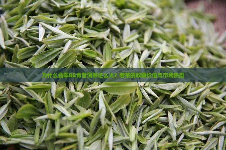 为什么翡翠88青普洱茶这么火？老茶的收藏价值与市场热度