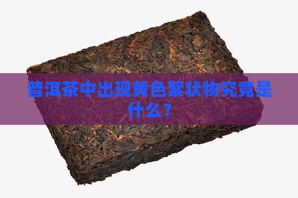 普洱茶中出现黄色絮状物究竟是什么？