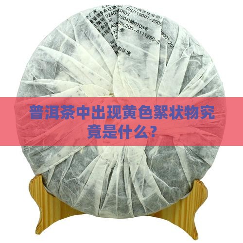 普洱茶中出现黄色絮状物究竟是什么？