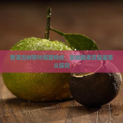 普洱古树茶叶间距特点、影响因素及品鉴意义探究