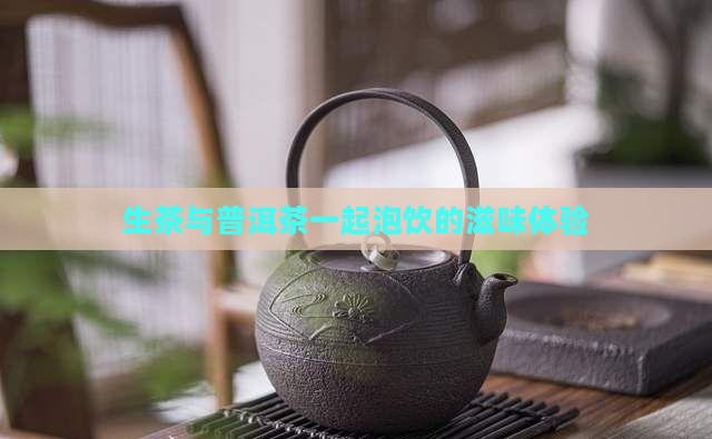 生茶与普洱茶一起泡饮的滋味体验