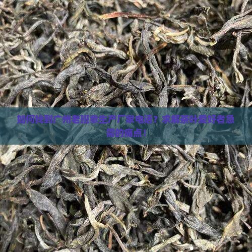 如何找到广州老班章生产厂家电话？求解茶叶爱好者急需的痛点！