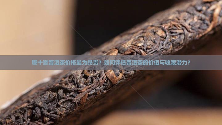 哪十款普洱茶价格最为昂贵？如何评估普洱茶的价值与收藏潜力？