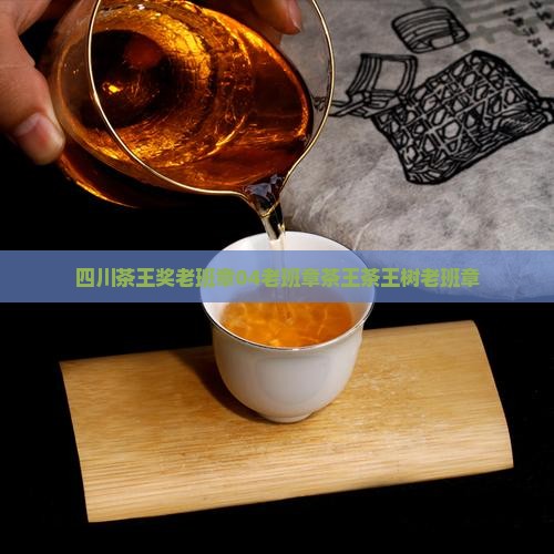 四川茶王奖老班章04老班章茶王茶王树老班章