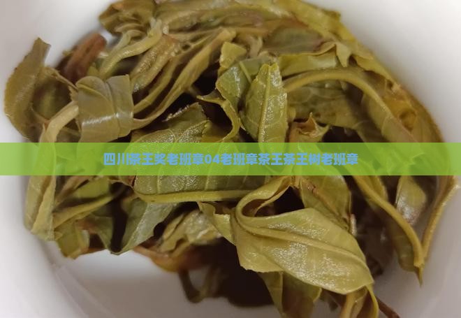 四川茶王奖老班章04老班章茶王茶王树老班章