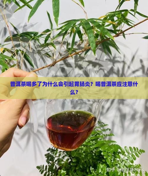 普洱茶喝多了为什么会引起胃肠炎？喝普洱茶应注意什么？