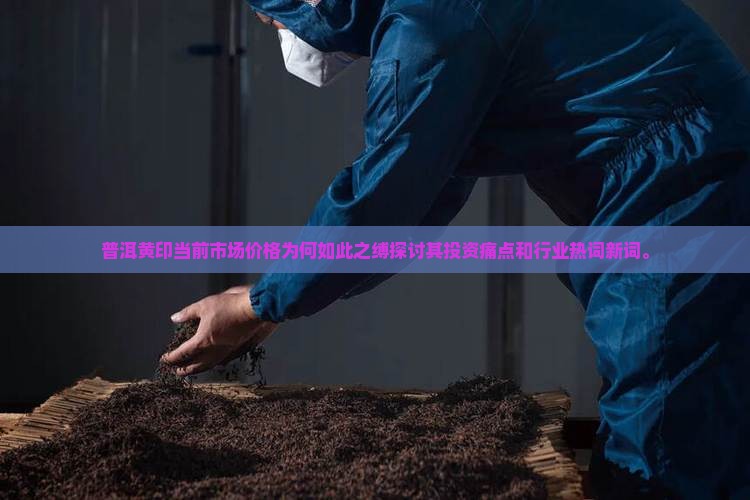 普洱黄印当前市场价格为何如此之缚探讨其投资痛点和行业热词新词。