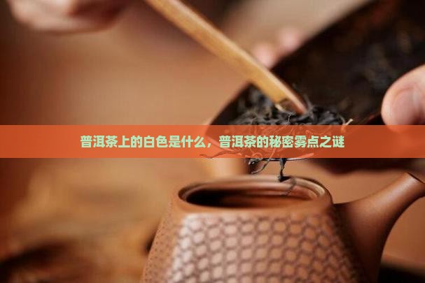 普洱茶上的白色是什么，普洱茶的秘密雾点之谜