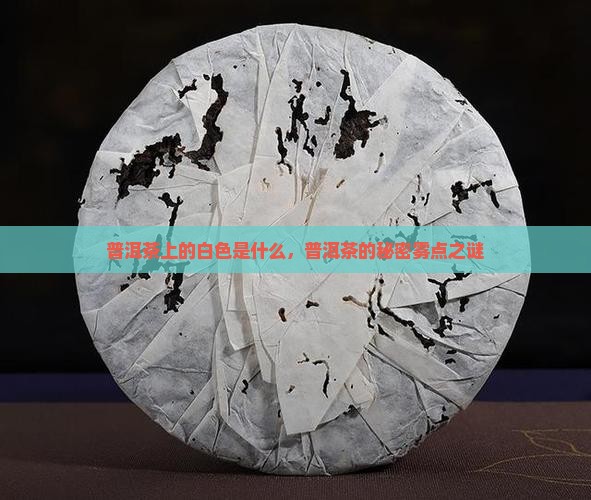 普洱茶上的白色是什么，普洱茶的秘密雾点之谜