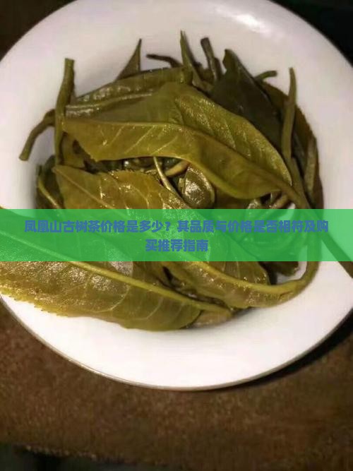凤凰山古树茶价格是多少？其品质与价格是否相符及购买推荐指南