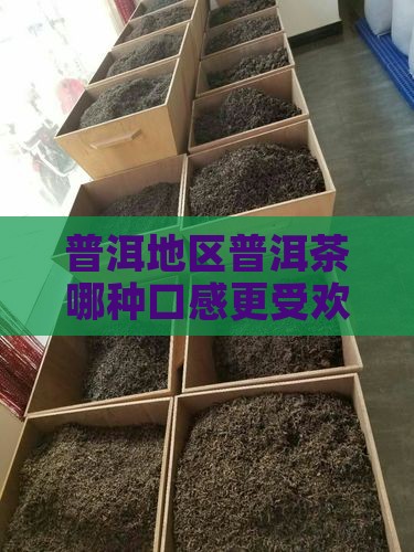 普洱地区普洱茶哪种口感更受欢迎