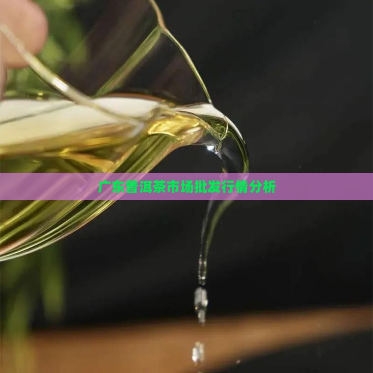 广东普洱茶市场批发行情分析