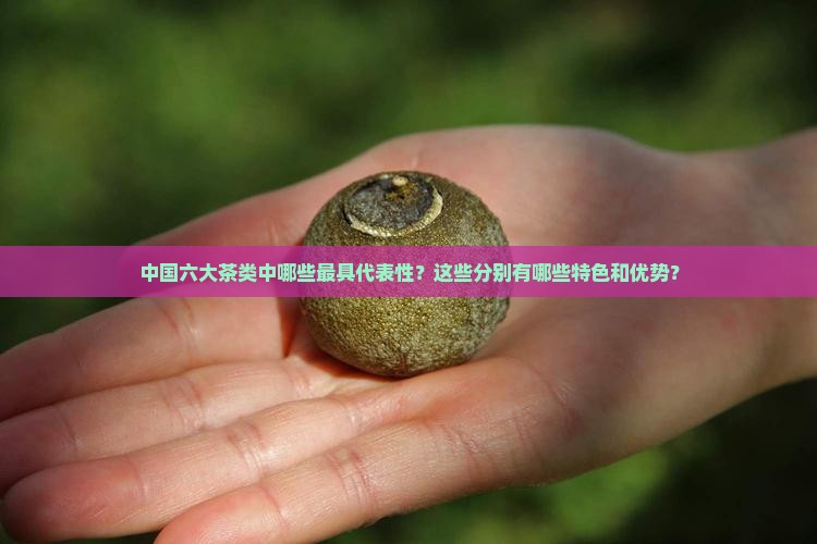 中国六大茶类中哪些最具代表性？这些分别有哪些特色和优势？