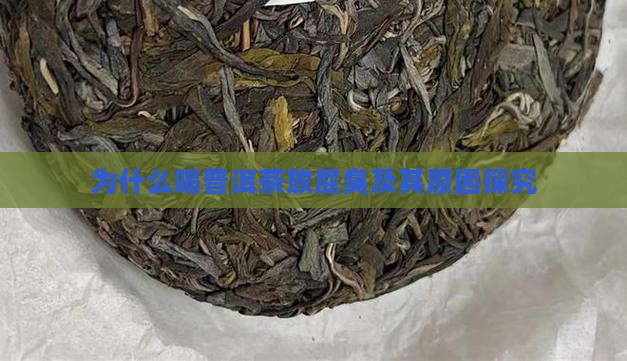 为什么喝普洱茶放屁臭及其原因探究