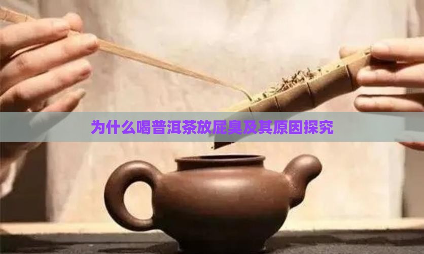 为什么喝普洱茶放屁臭及其原因探究
