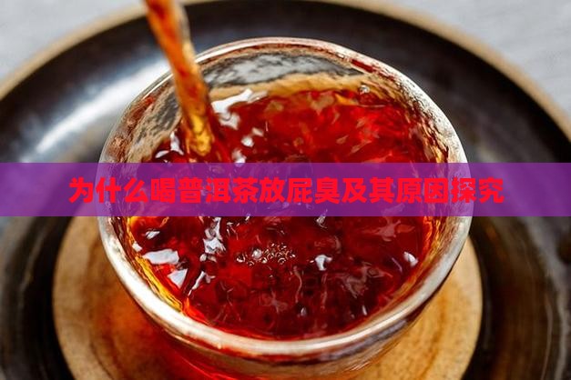 为什么喝普洱茶放屁臭及其原因探究