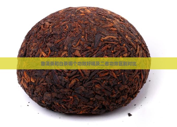普洱茶和白茶哪个功效好喝及二者功效区别对比