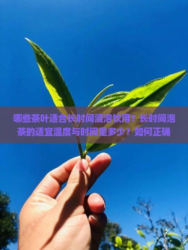 哪些茶叶适合长时间浸泡饮用？长时间泡茶的适宜温度与时间是多少？如何正确保存长时间泡过的茶叶？