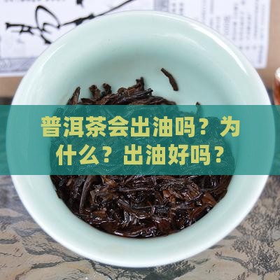 普洱茶会出油吗？为什么？出油好吗？