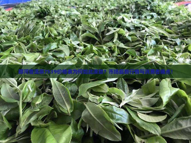 郎河普洱茶7539价格表为何如此波动？市场最新行情与消费者痛点！