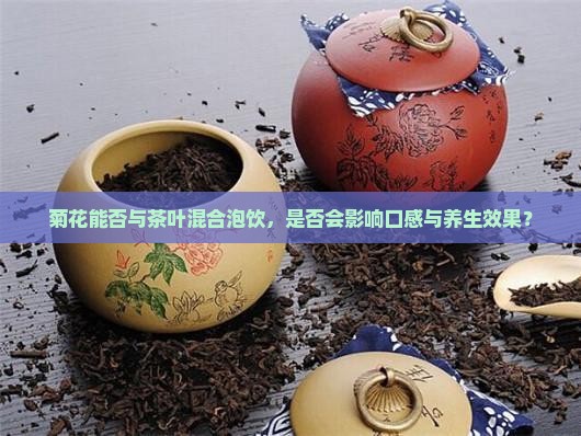菊花能否与茶叶混合泡饮，是否会影响口感与养生效果？