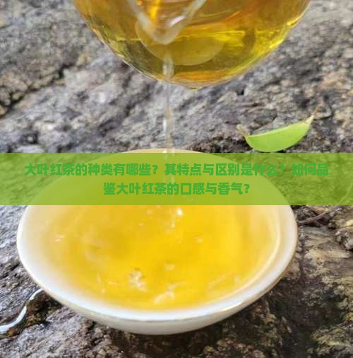 大叶红茶的种类有哪些？其特点与区别是什么？如何品鉴大叶红茶的口感与香气？