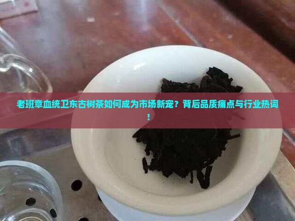 老班章血统卫东古树茶如何成为市场新宠？背后品质痛点与行业热词！