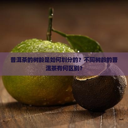 普洱茶的树龄是如何划分的？不同树龄的普洱茶有何区别？