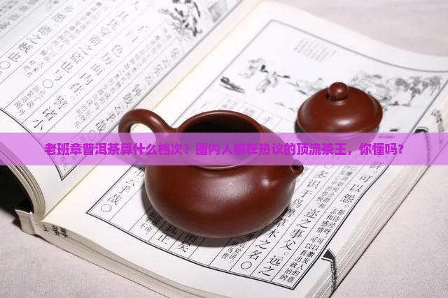 老班章普洱茶算什么档次？圈内人都在热议的顶流茶王，你懂吗？