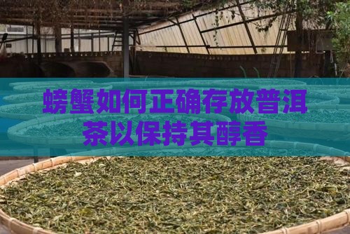 螃蟹如何正确存放普洱茶以保持其醇香