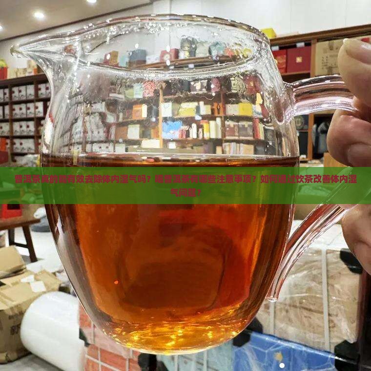 普洱茶真的能有效去除体内湿气吗？喝普洱茶有哪些注意事项？如何通过饮茶改善体内湿气问题？