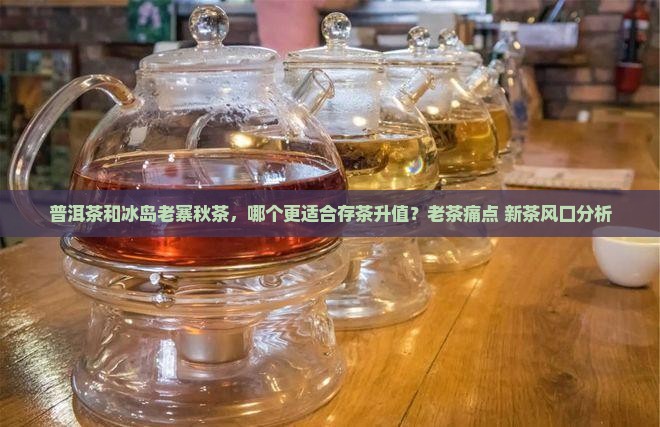普洱茶和冰岛老寨秋茶，哪个更适合存茶升值？老茶痛点+新茶风口分析