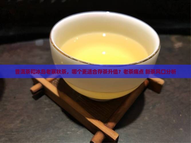 普洱茶和冰岛老寨秋茶，哪个更适合存茶升值？老茶痛点+新茶风口分析