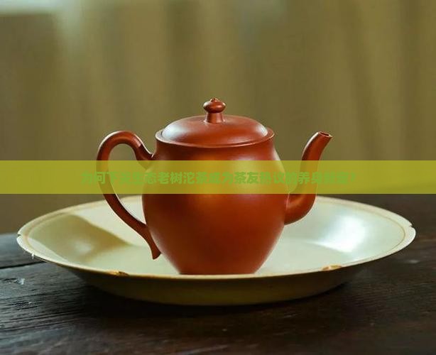 为何下关生态老树沱茶成为茶友热议的养身新宠？