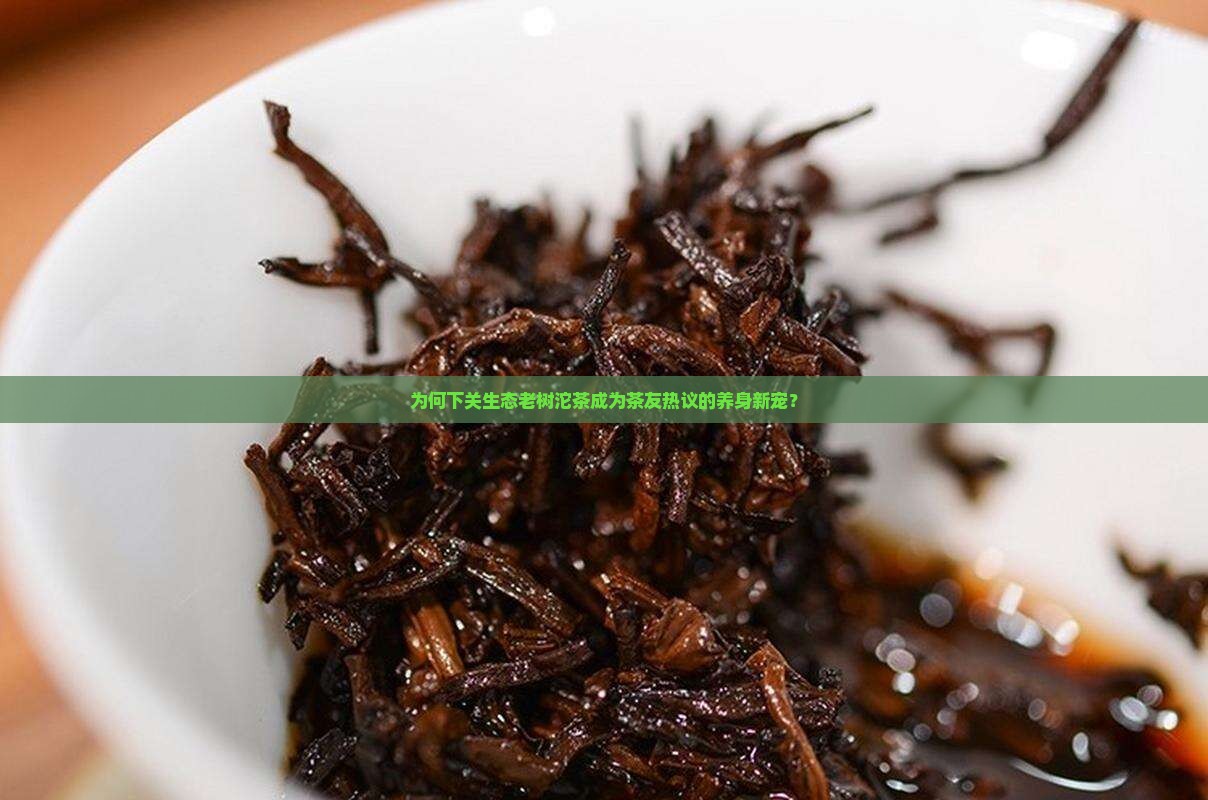 为何下关生态老树沱茶成为茶友热议的养身新宠？