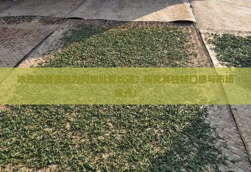 冰岛熟普洱茶为何如此受欢迎？探究其独特口感与市场痛点！