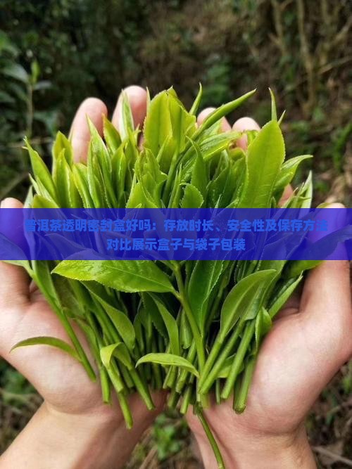 普洱茶透明密封盒好吗：存放时长、安全性及保存方法对比展示盒子与袋子包装
