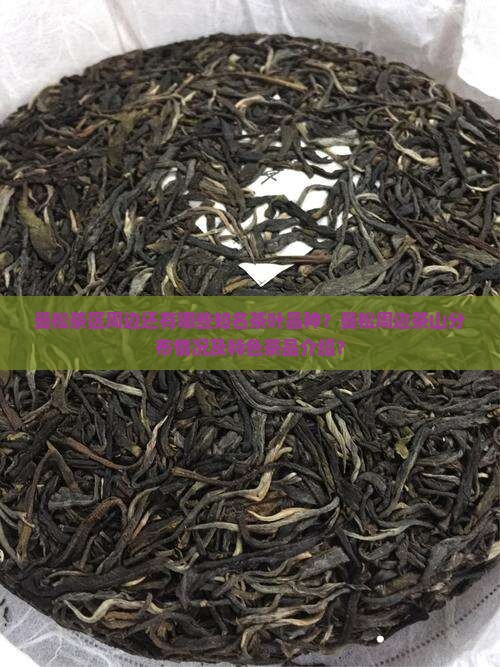 曼松茶区周边还有哪些知名茶叶品种？曼松周边茶山分布情况及特色茶品介绍？