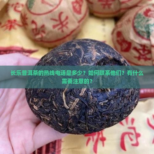 长乐普洱茶的热线电话是多少？如何联系他们？有什么需要注意的？