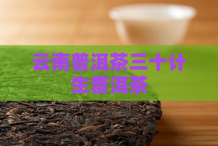 云南普洱茶三十计生普洱茶