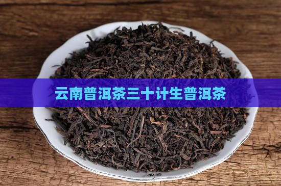 云南普洱茶三十计生普洱茶